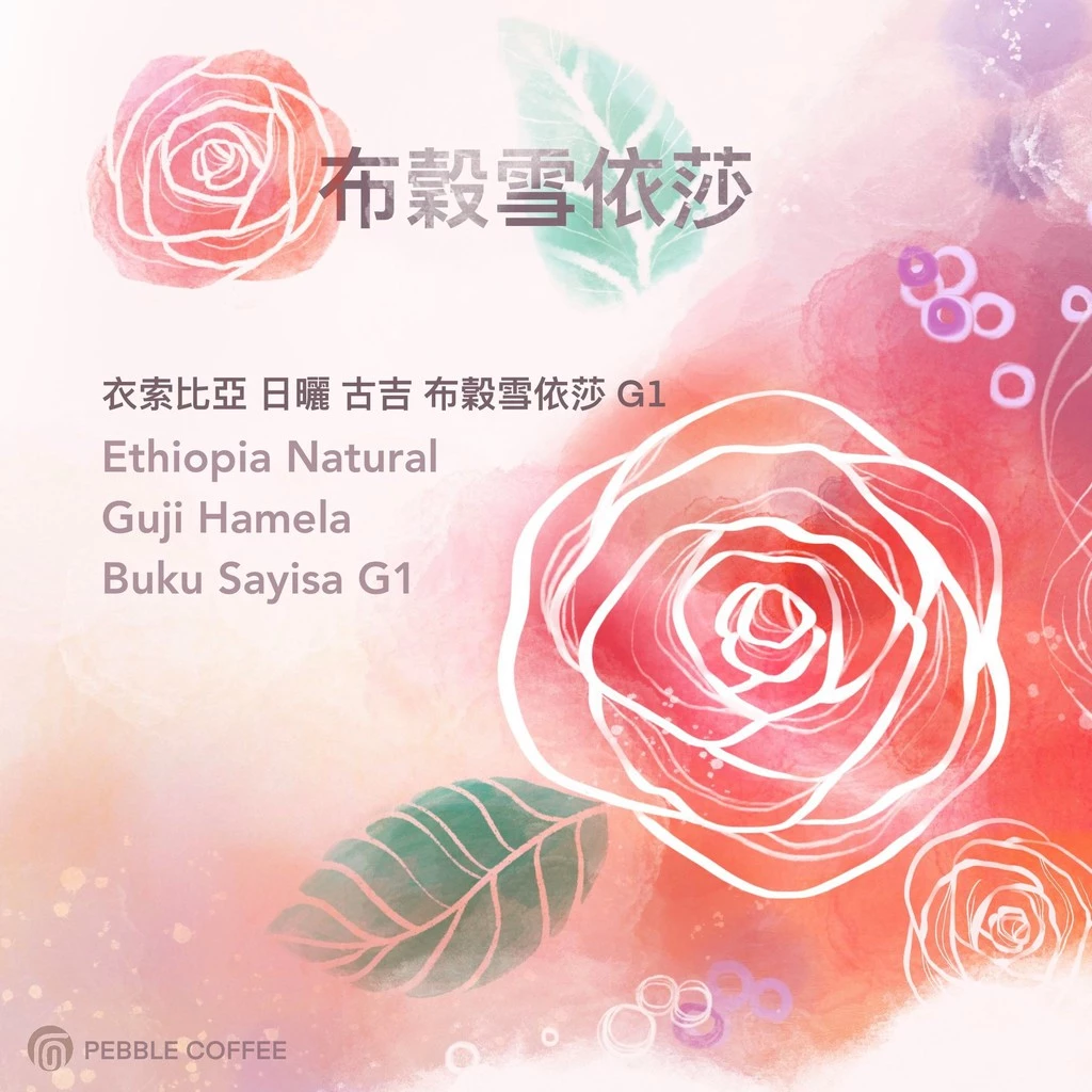 2025台北線上咖啡展【山茶花 非洲總冠軍 超級多汁好好喝】衣索比亞 日曬 古吉 布穀雪依莎G1 淺焙｜KJ。咖啡場所