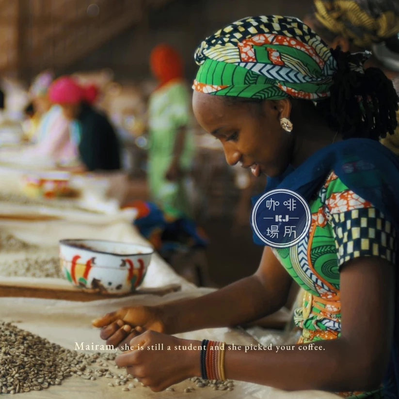 2025台北線上咖啡展【喀麥隆．西非產區】水洗 喀麥隆AFCA No.3《無農藥無化學肥料》淺焙 半磅｜KJ．咖啡場所