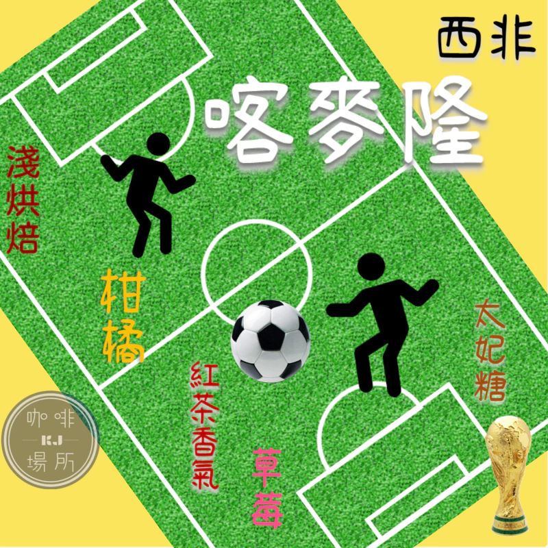 2025台北線上咖啡展【喀麥隆．西非產區】水洗 喀麥隆AFCA No.3《無農藥無化學肥料》淺焙 半磅｜KJ．咖啡場所