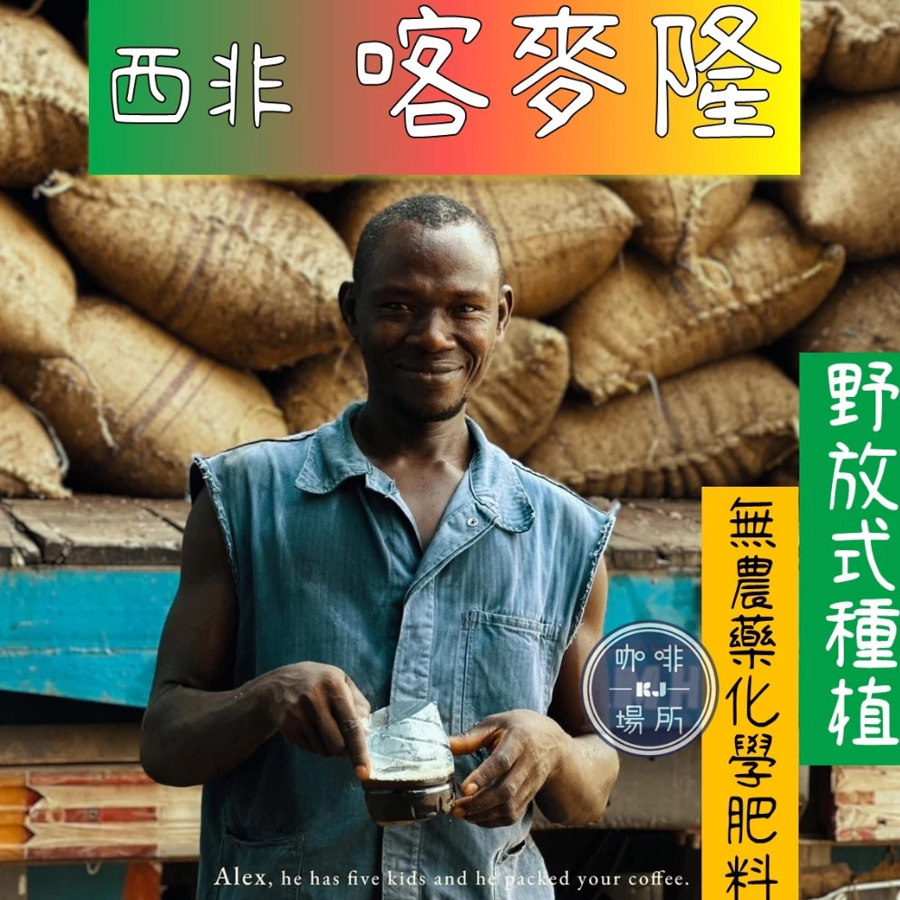 2025台北線上咖啡展【喀麥隆．西非產區】水洗 喀麥隆AFCA No.3《無農藥無化學肥料》淺焙 半磅｜KJ．咖啡場所