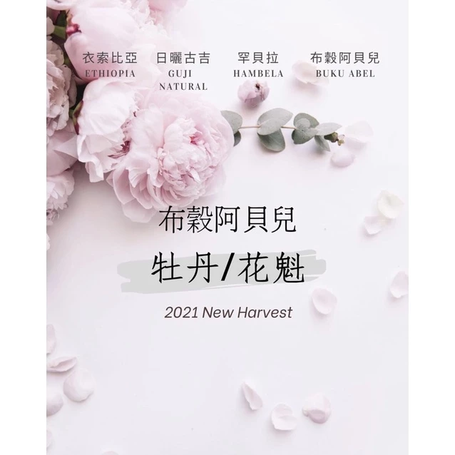 2025台北咖啡展【品嚐不曾有過的感動】衣索比亞 日曬 古吉 罕貝拉 布穀阿貝兒 G1 牡丹/花魁 淺焙｜KJ。咖啡場所