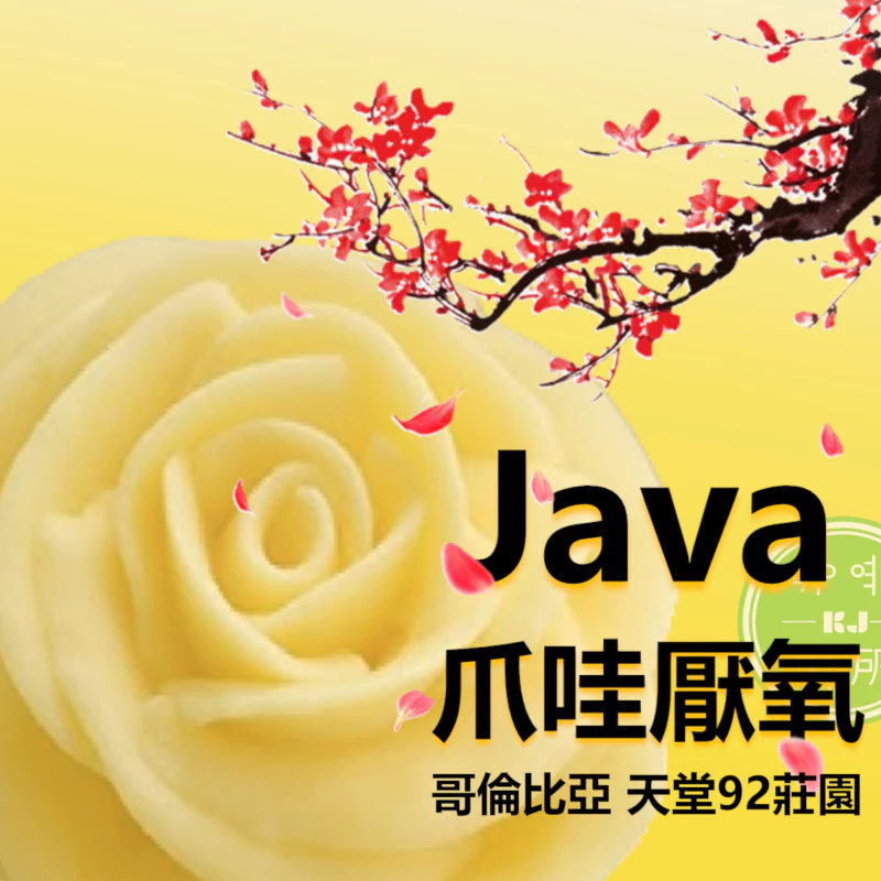 【限量稀有強豆·全新上架】哥倫比亞 考卡 天堂 92 莊園 JAVA 爪哇 厭氧發酵處理 P-14 淺焙｜KJ·咖啡場所