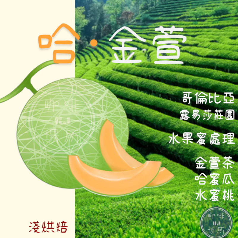 【你沒喝過の哈蜜瓜咖啡｜金萱茶香氣】哥倫比亞 安蒂奧基亞省 • 露易莎莊園 哈·金萱 水果蜜處理 淺焙｜KJ．咖啡場所