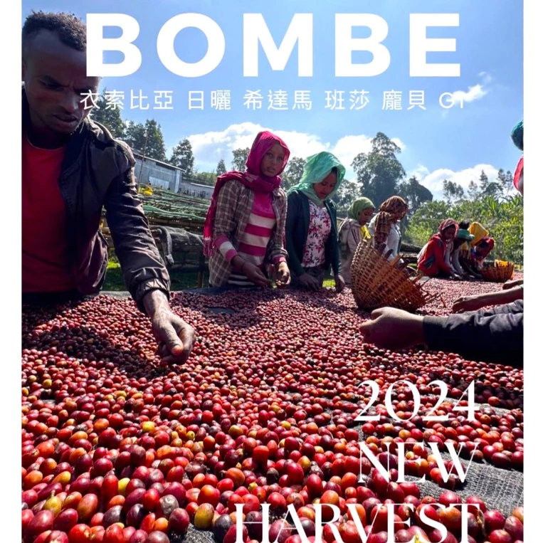 <<【買一送一】>>超級無敵好喝 ~ 衣索比亞 日曬 希達馬 班莎 龐貝 G1 半熱風 淺焙 半磅 | KJ．咖啡場所