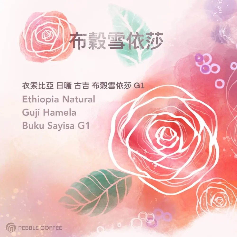 2025台北線上咖啡展【山茶花 非洲總冠軍 超級多汁好好喝】衣索比亞 日曬 古吉 布穀雪依莎G1 淺焙｜KJ。咖啡場所