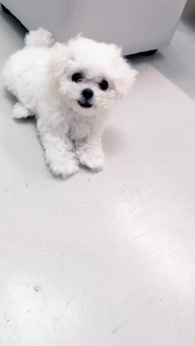 長得帥又聰明～～