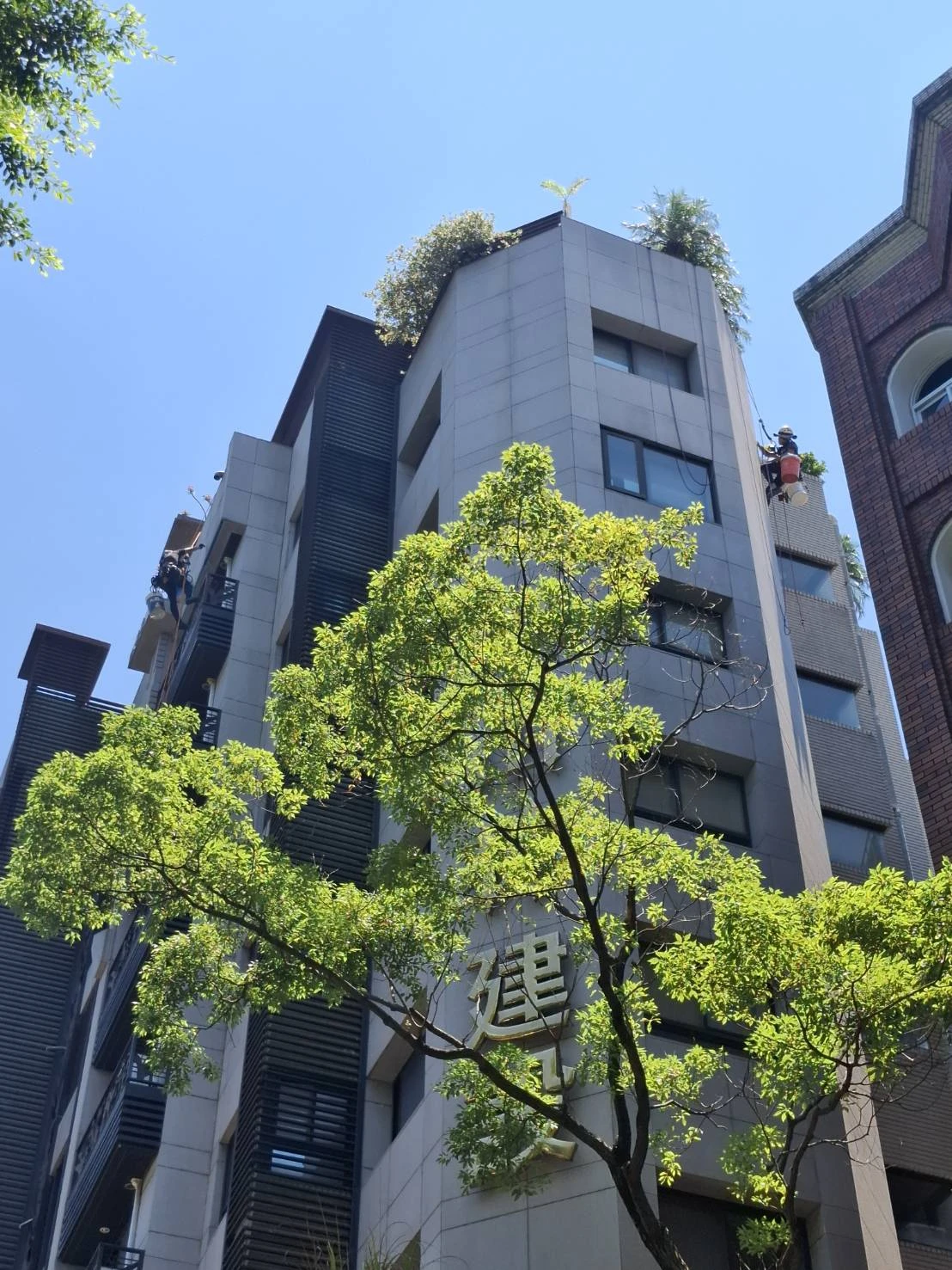 外牆矽利康更新工程
