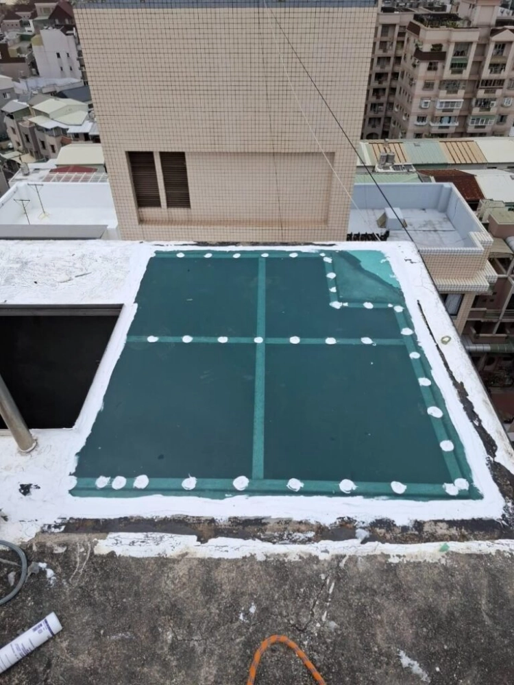 外牆採光罩更換工程