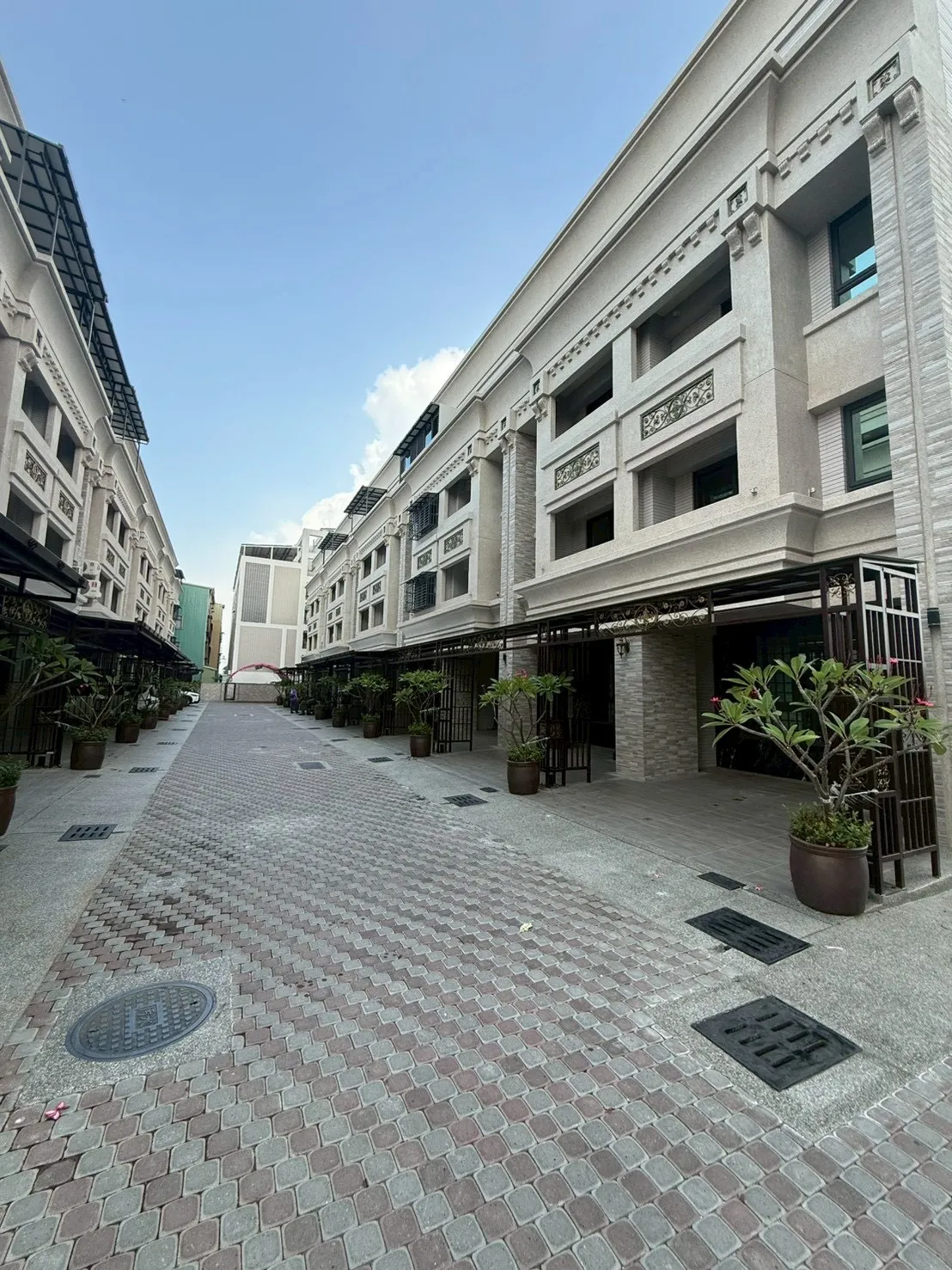 高雄林園 皇家HOYA-