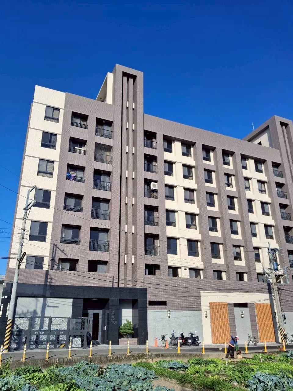 嘉義縣大林鎮 佑睿豐收5