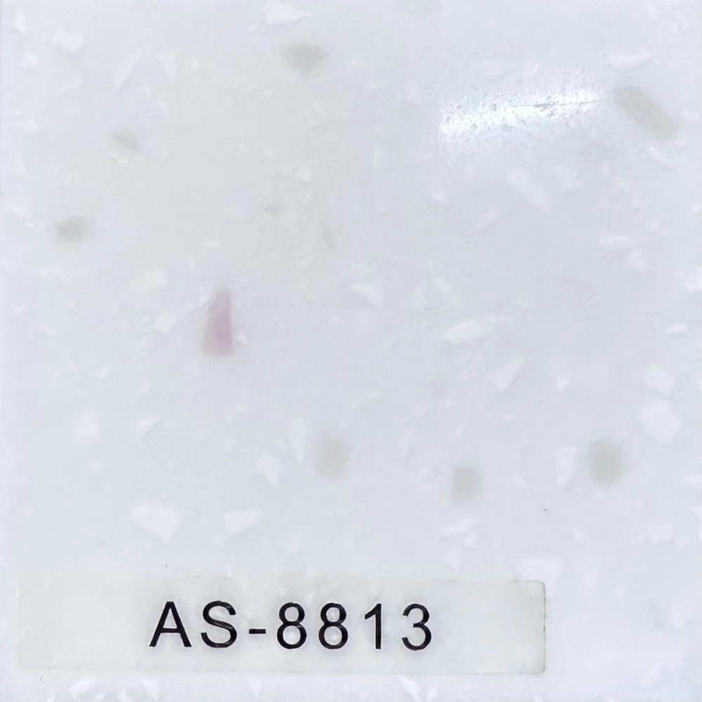 AS-8813