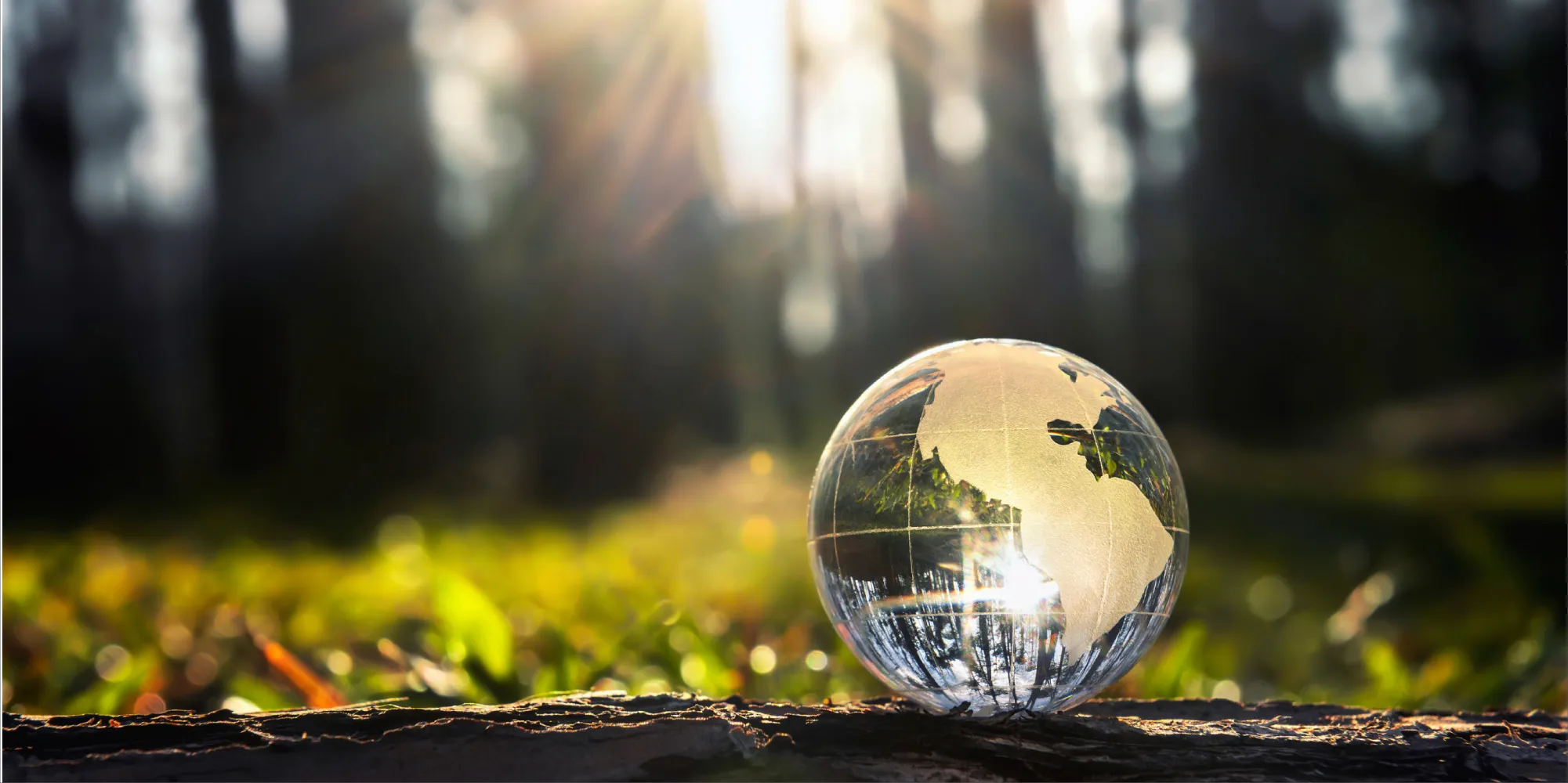 郭弼地政士事務所-代書推薦,代書事務所,台南代書推薦,台南代書事務所,麻豆區代書推薦