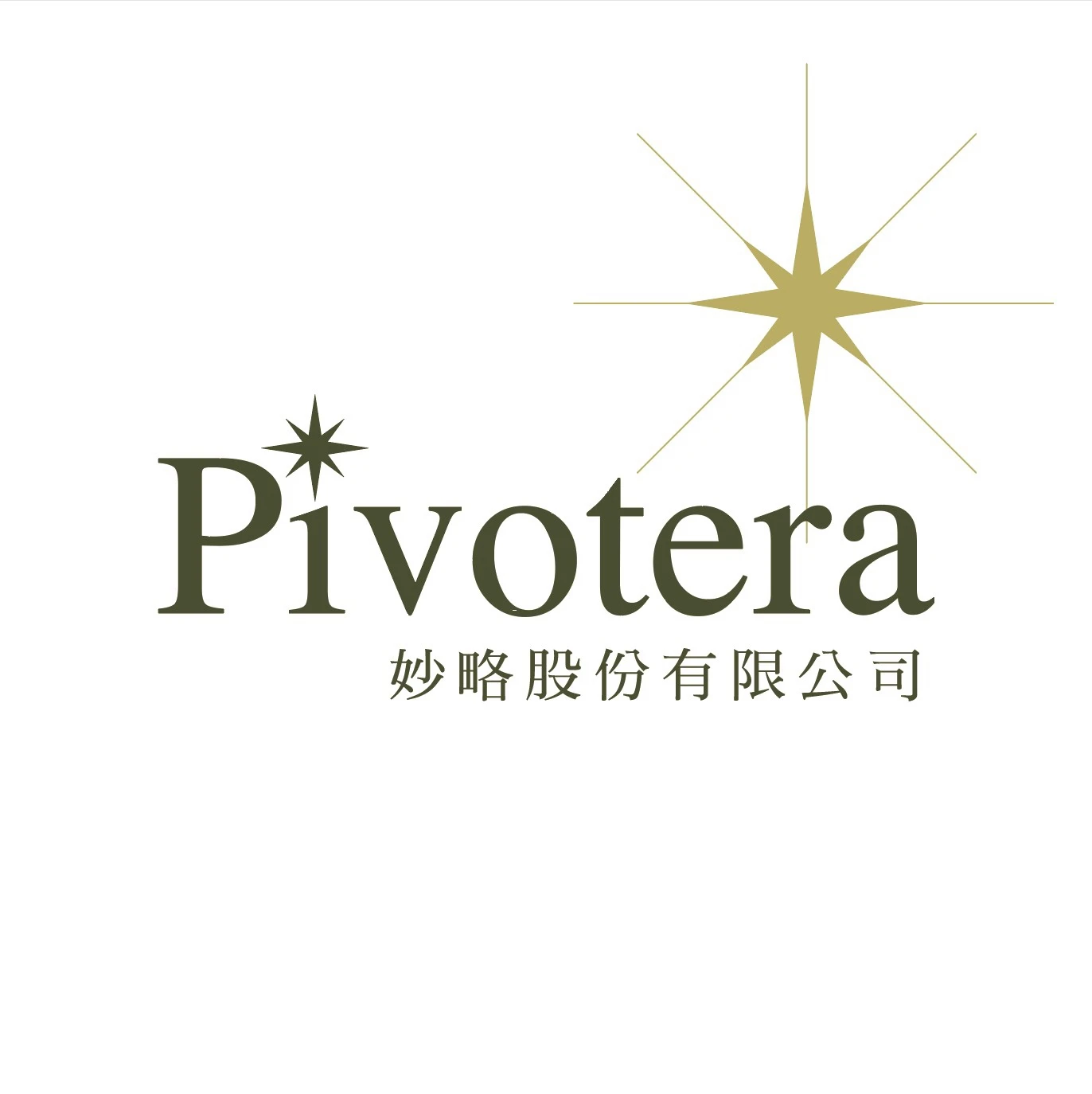 合作夥伴｜妙略股份有限公司 Pivotera Consulting