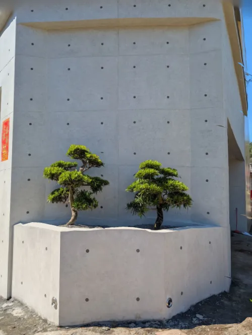 為業主種下夫妻樹｜台中新建工程｜大里區新建工程