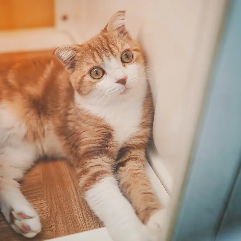 最新消息 敬請期待！