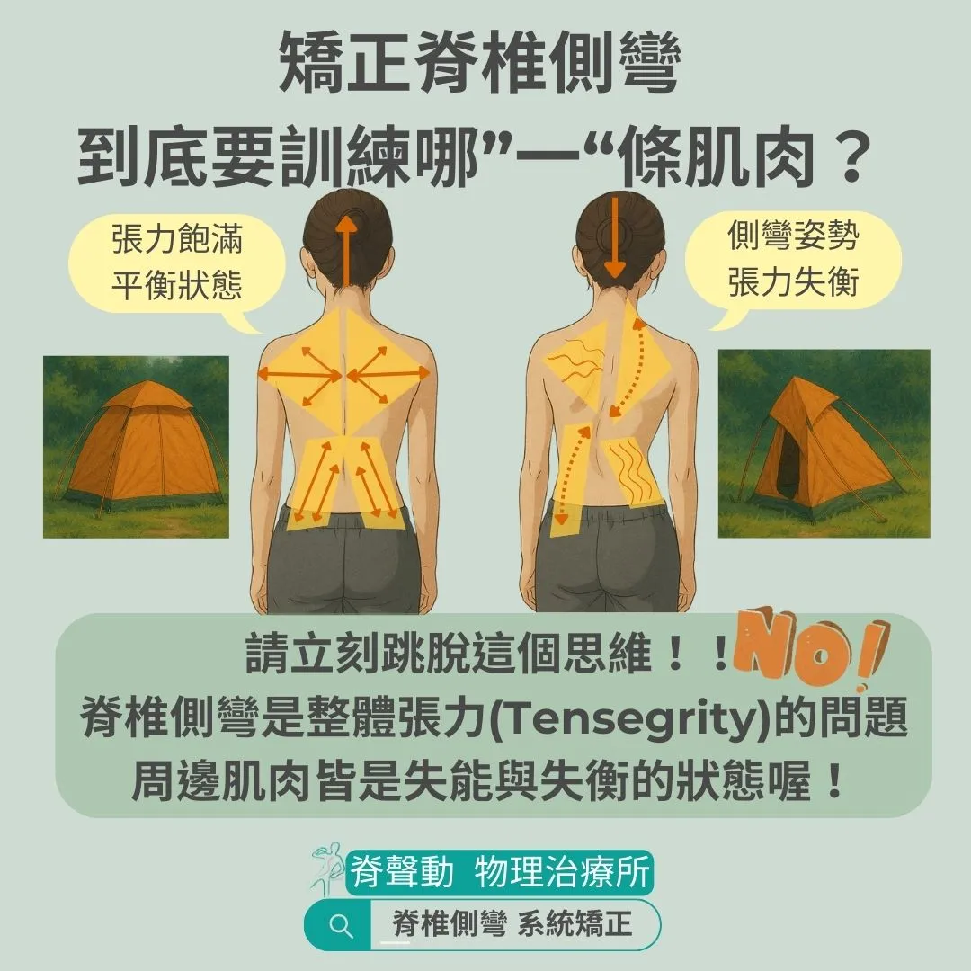 矯正脊椎側彎 要訓練什麼肌肉啊 ??!! 重訓、瑜珈、皮拉提斯 ??