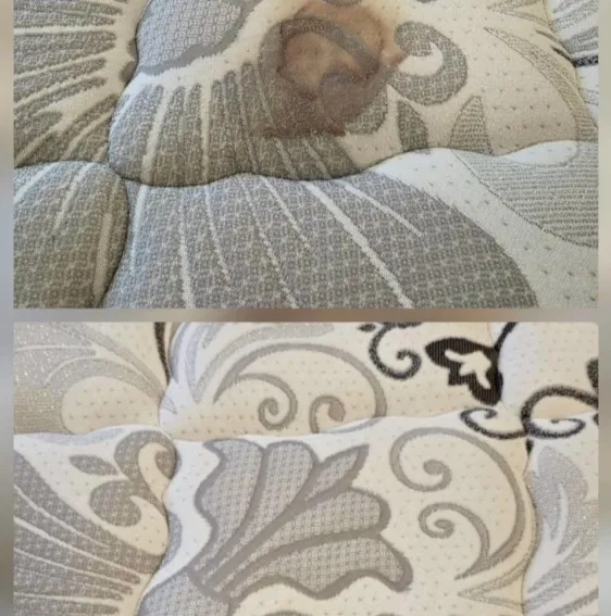 沙發有尿漬可以洗乾淨嗎？