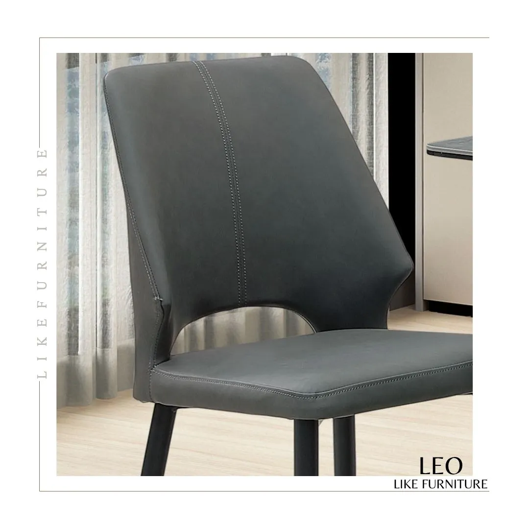 LEO