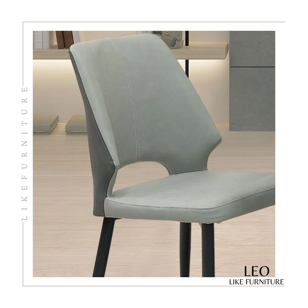 LEO