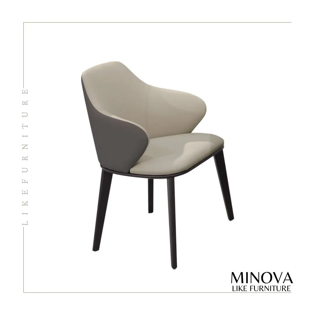 MINOVA
