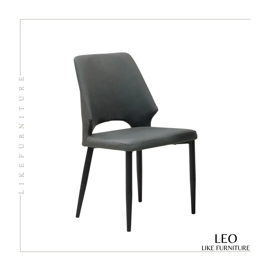 LEO