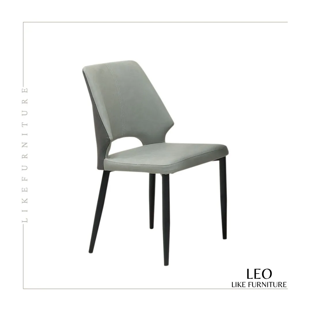 LEO