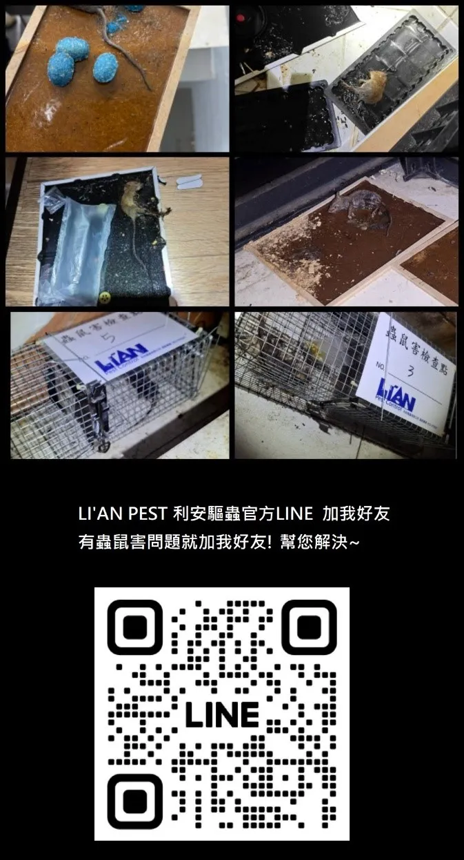 食品工廠老鼠防堵不能只靠滅鼠公司?工廠業者除老鼠必須知道的關鍵 |台南滅鼠推薦、台南除蟲口碑推薦、高雄除鼠工程