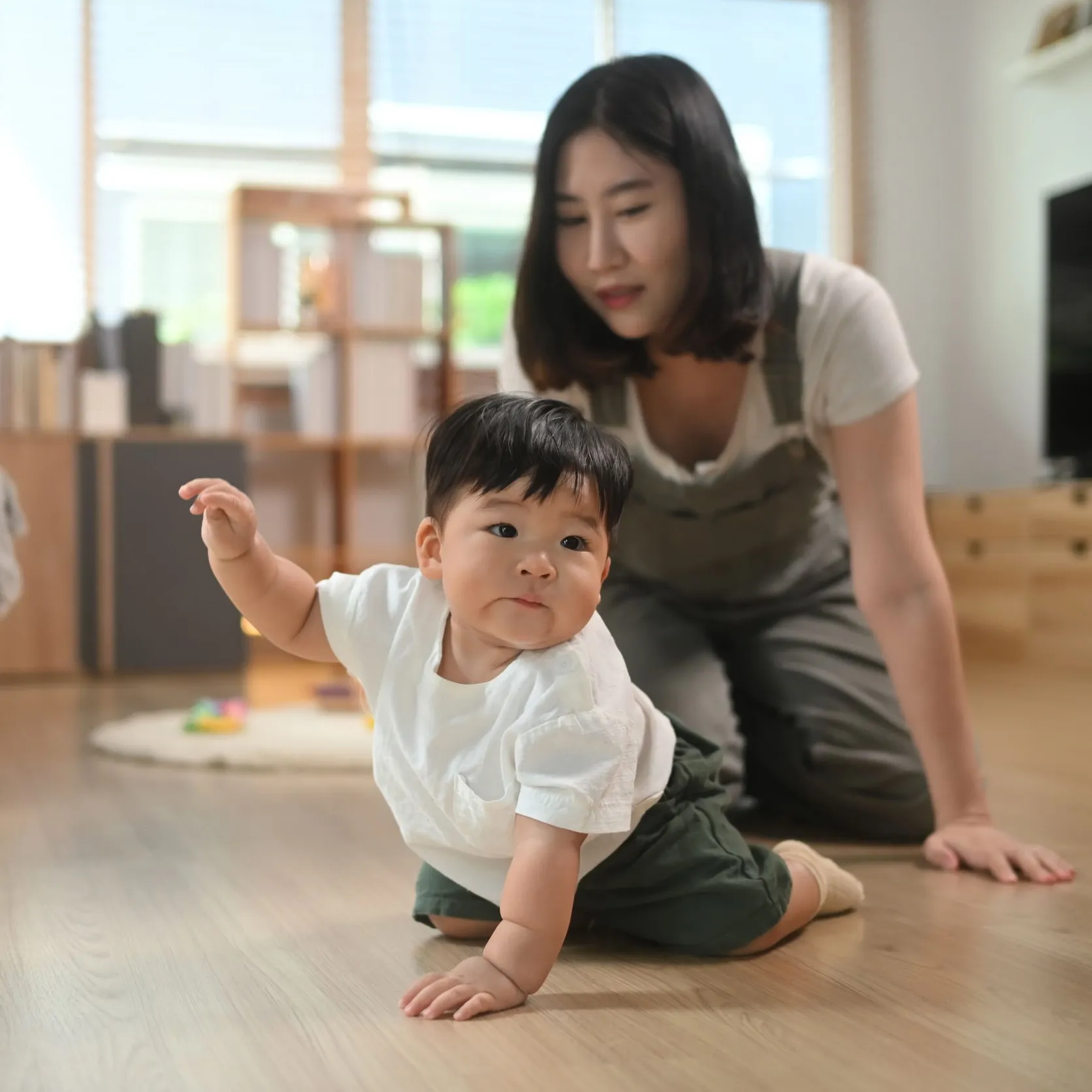 除蟲特約專案 |台南專業病媒防治專家、滅鼠、除蟑、白蟻防治