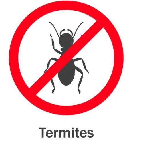 白蟻防治怎麼做？