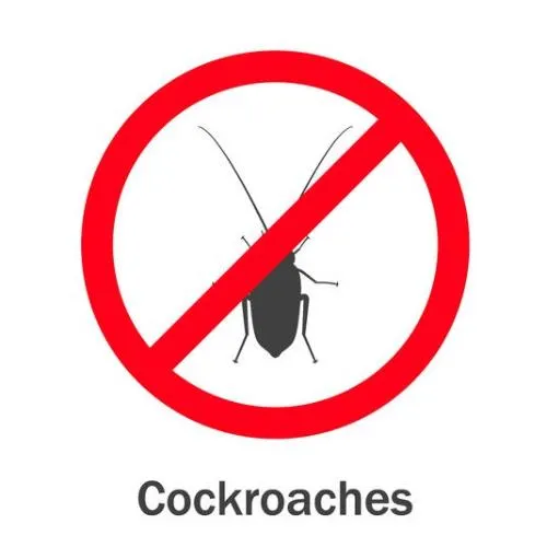 蟑螂防治有效嗎？