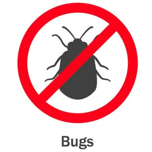 臭蟲怎麼徹底防治？