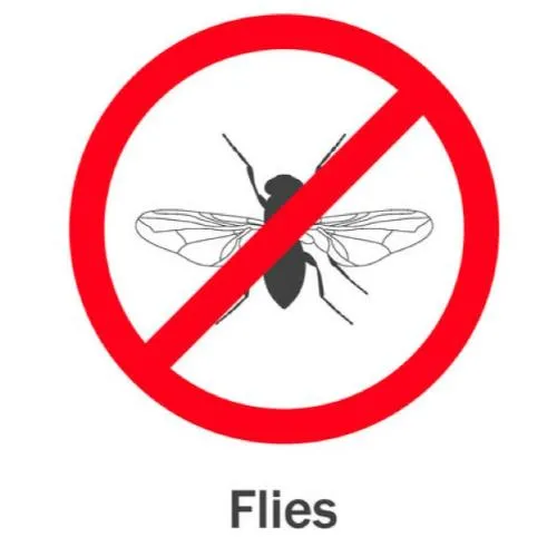 蛾蚋為何一直出現？