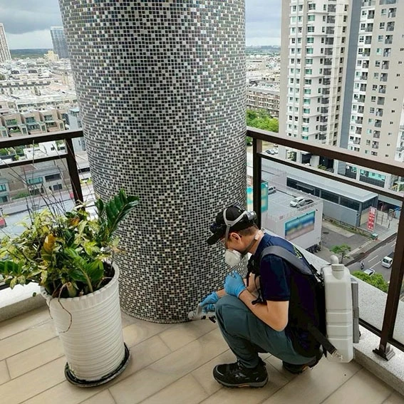 中西區除白蟻