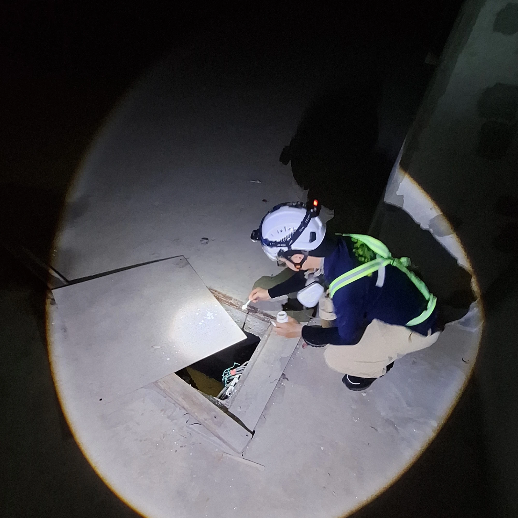 阻斷繁殖鏈 IGR防治