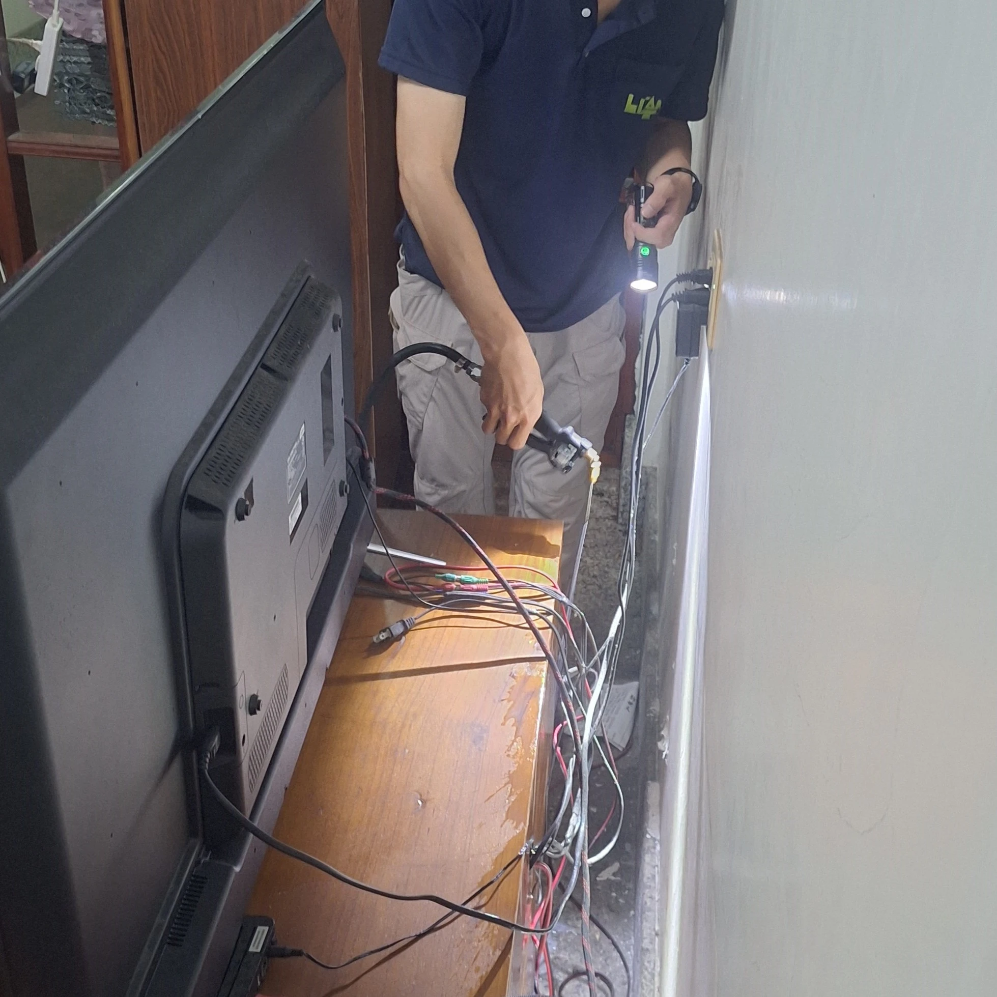 安定區除白蟻