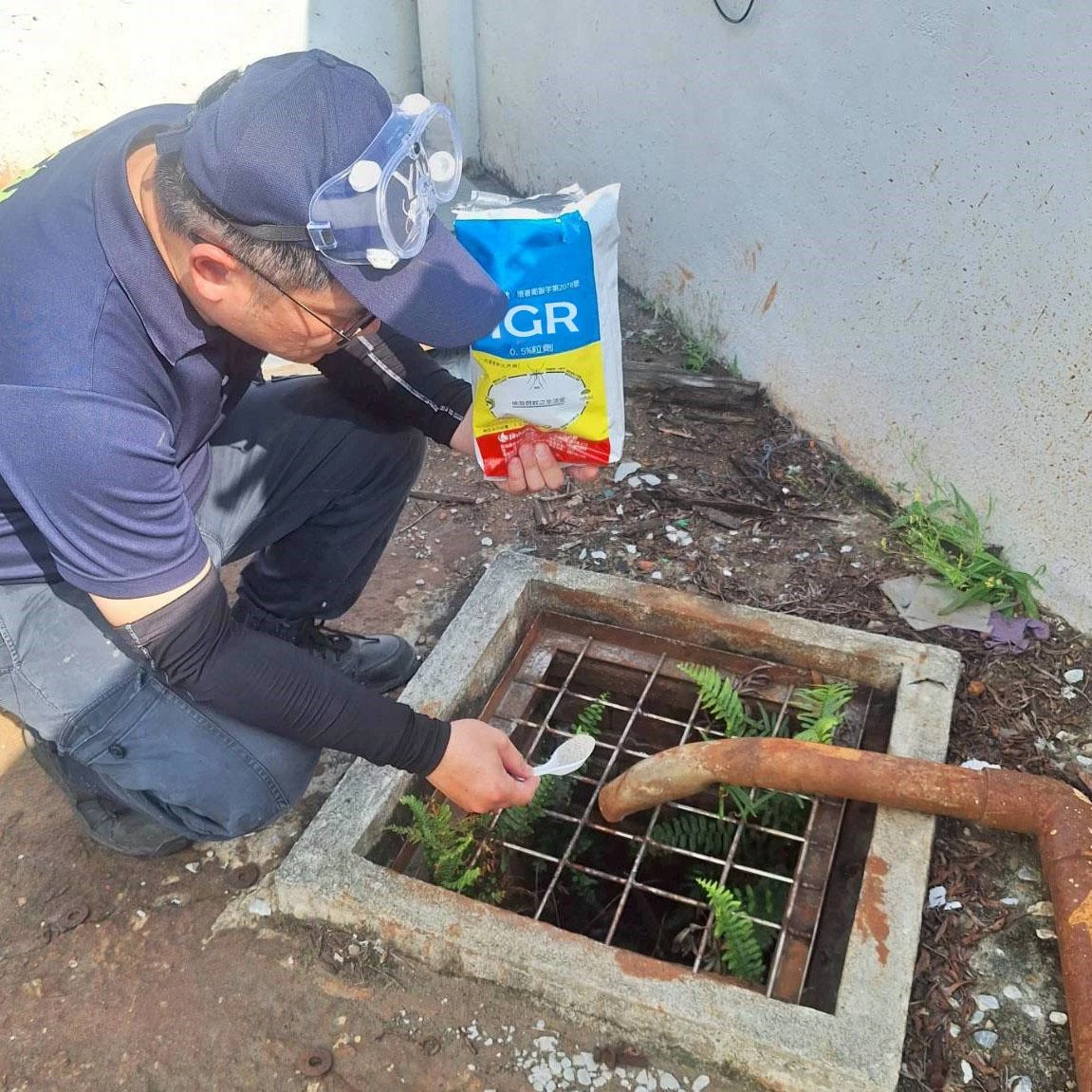 阻斷繁殖鏈 IGR防治