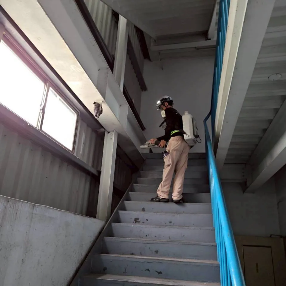 工廠蟑螂防治消毒