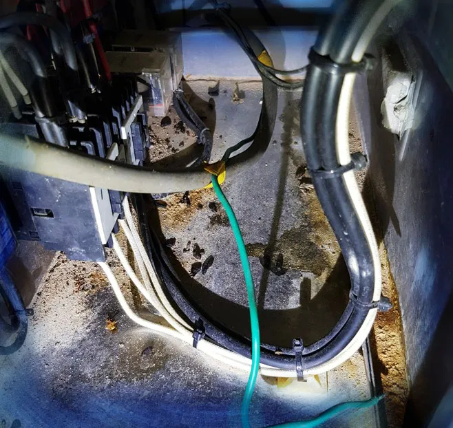 營業場所鼠檢