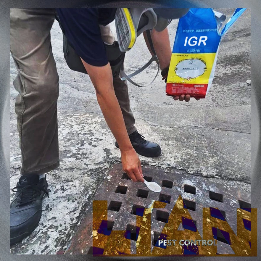 阻斷繁殖鏈 IGR防治