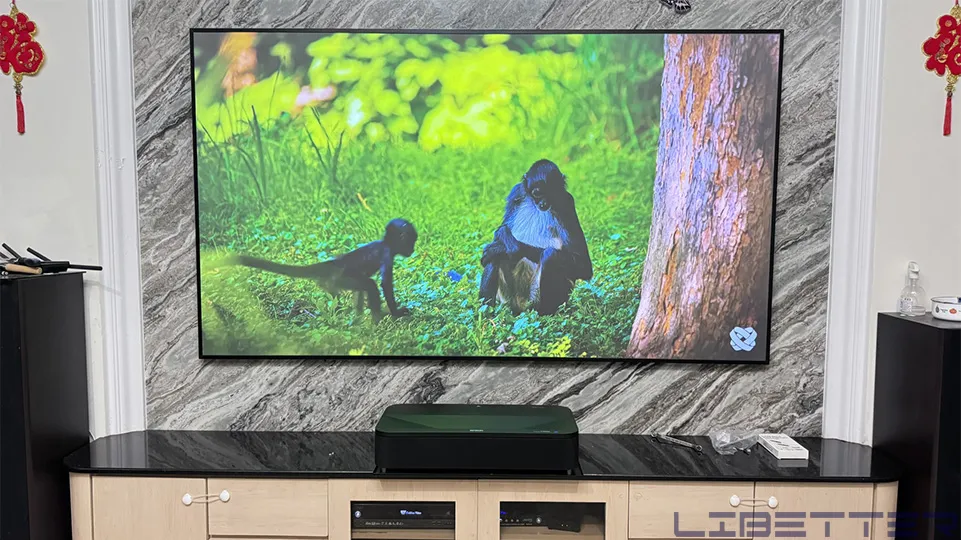 家用案例：EPSON EH-LS800B+100吋黑柵抗光幕  畫質 亮度 尺寸都讓人滿意~