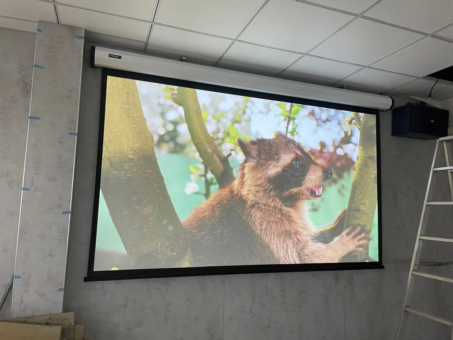 老闆推薦：OPTOMA AZH500 5000流明 FULL HD 雷射投影機✨商用CP值很高的一台！