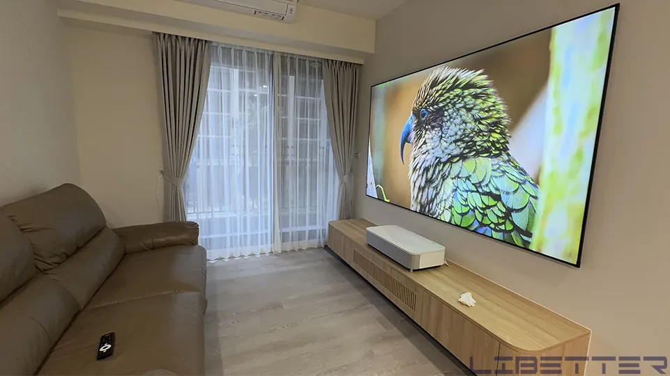 家用案例：EPSON EH-LS800W 搭配100吋HBSI 黑柵抗光幕  從側面看 黑柵的優點就是沒有可視角的問題