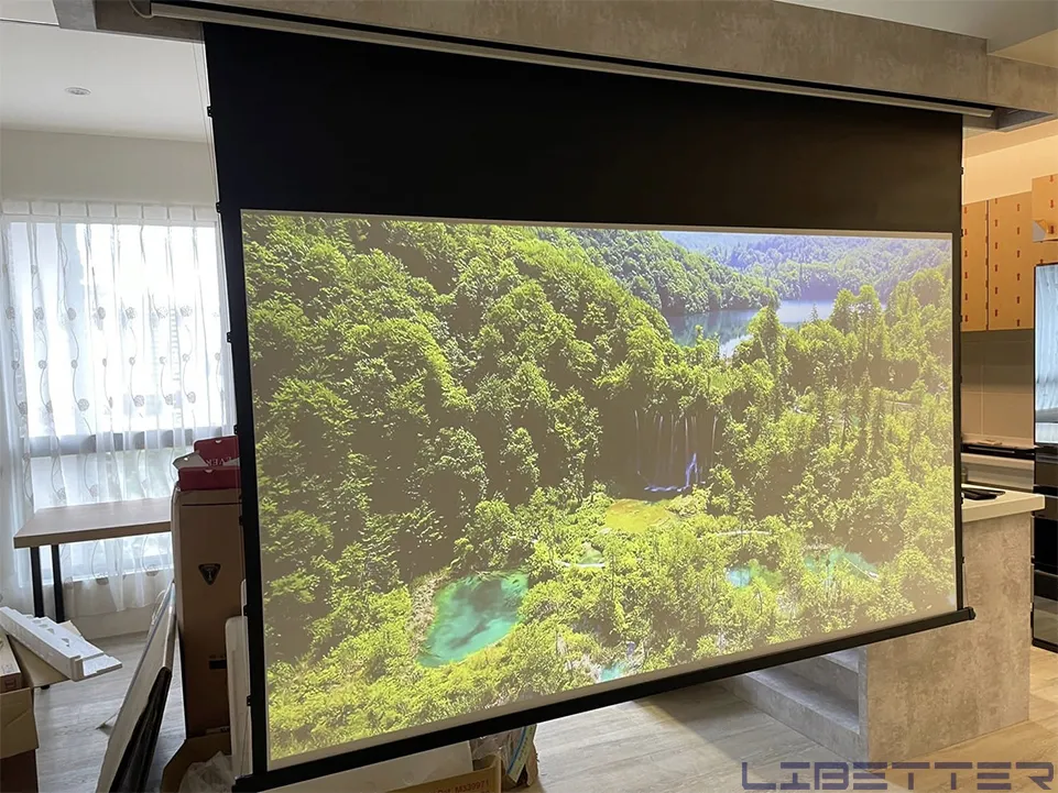 可攜式投影機：Wandermax SS8 & Libetter vision 100吋訂製電動張力幕  效果不錯喔！