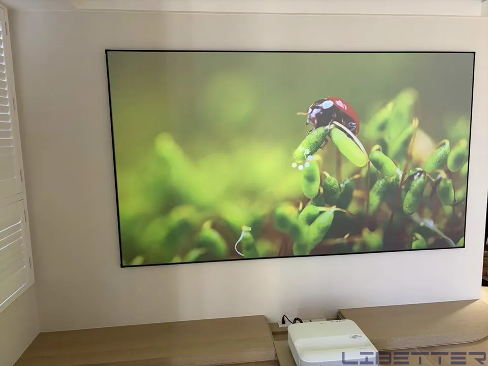 家用案例：EPSON EH-LS670 4K × 100吋菲涅爾抗光幕✨不拉窗簾也清晰銳利