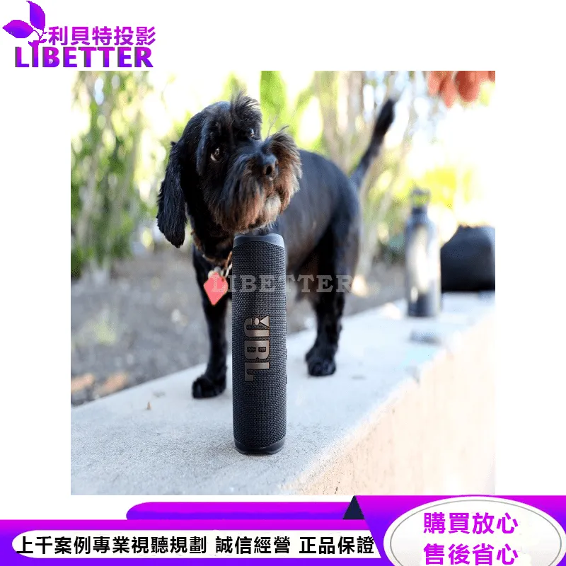 JBL 便攜型防水藍牙喇叭 FLIP 6
