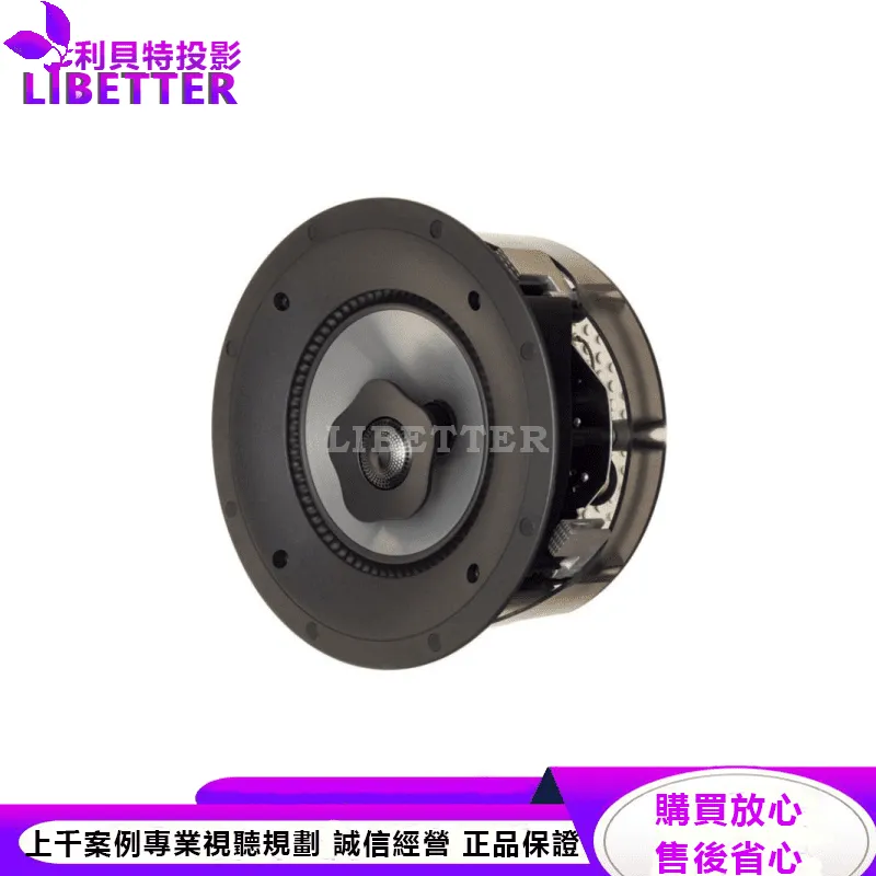 CI Pro P80-RX 嵌入式揚聲器