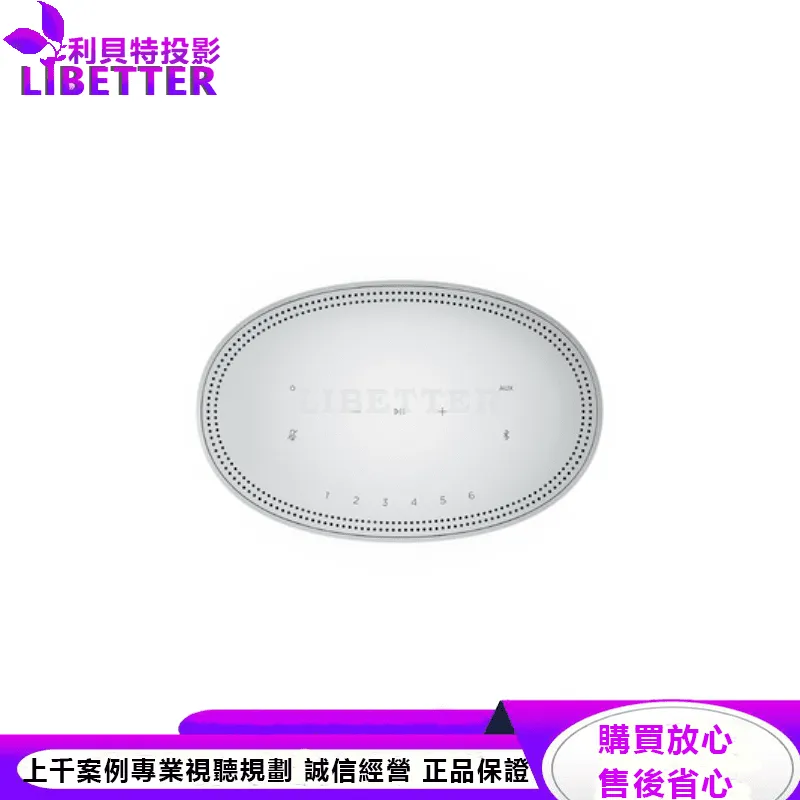 Bose Home Speaker 500 智慧型揚聲器 銀色