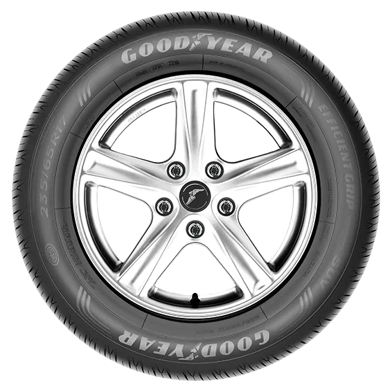 固特異EGPSUV 225/6018