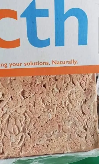 荷蘭大腸頭(生)