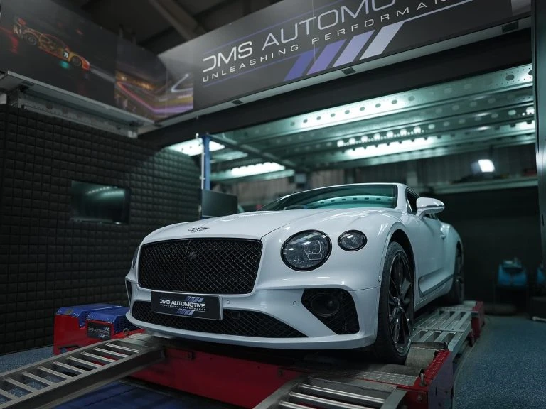 DMS Automotive! 英國超跑電腦專家!